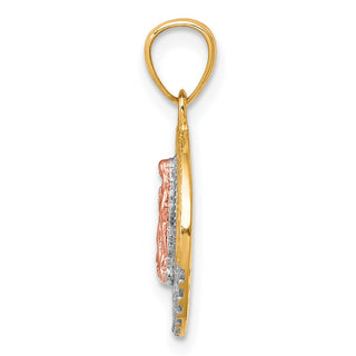 10k Yellow and Rose Gold with Rhodium-Plating CZ Lady of Guadalupe Round Pendant