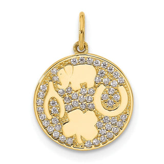 10K Yellow Gold Polished CZ Good Luck Medallion Charm
