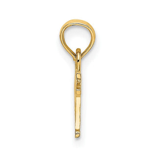 10K Yellow Gold PAPA Charm
