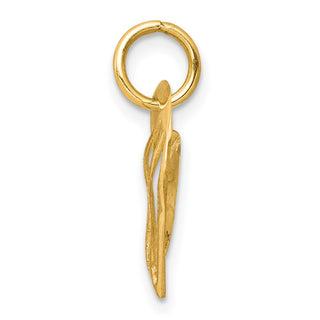 10k Yellow Gold Heart Charm 10C382