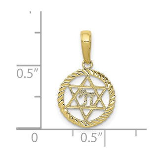 10k Yellow Gold Star Of David And Chi In Circle Pendant