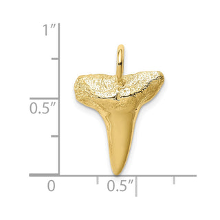 10K Yellow Gold Shark Tooth Pendant