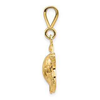 10k Yellow Gold Turtle Pendant 10C538