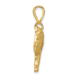 10k Yellow Gold Lion Pendant 10C580