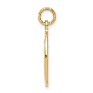 10k Yellow Gold Miraculous Medal Charm