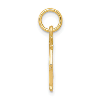 10k Yellow Gold Graduation Owl Charm