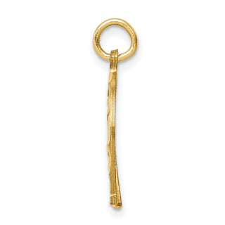 10k Yellow Gold Horseshoe Charm