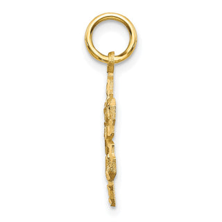 10k Yellow Gold Solid Satin Snowflake Charm