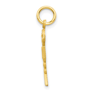 10k Yellow Gold Solid Registered Nurse Charm