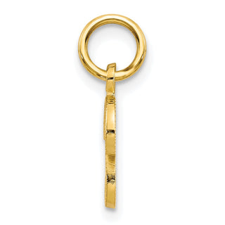 10k Yellow Gold Initial P Charm 10C763P