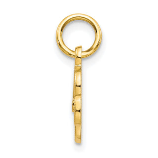 10k Yellow Gold Initial R Charm 10C763R
