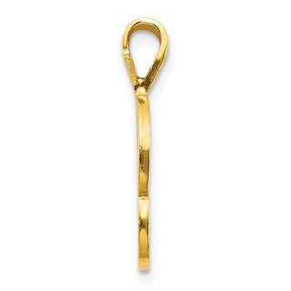 10k Yellow Gold Initial P Pendant 10C767P