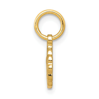 10k Yellow Gold Solid Satin Polished Our Lady Of Sorrows Disc Pendant