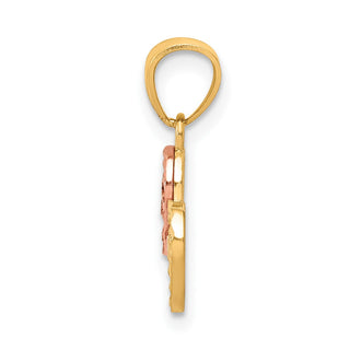 Small Two-Tone 10k Yellow and Rose Gold 15 Anos Quinceanera Charm