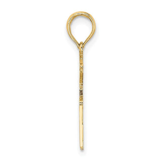 10K Yellow Gold Registered Nurse Charm