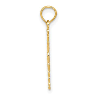 10K Yellow Gold Caduceus Pendant 10D1236