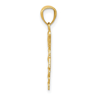 10K Yellow Gold Diamond-cut Polished RN Nurse Pendant 10K6119