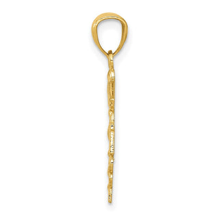 10K Yellow Gold Diamond-cut Polished RN Nurse Pendant 10K6119