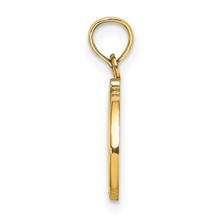 10k Yellow Gold Polished D Script Initial Pendant