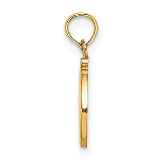 10k Yellow Gold Polished D Script Initial Pendant