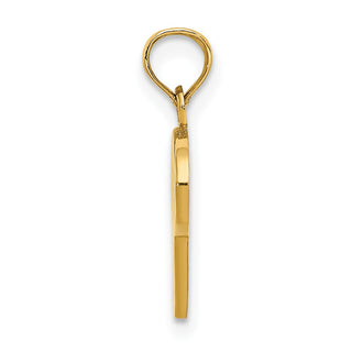 10k Yellow Gold Polished P Script Initial Pendant