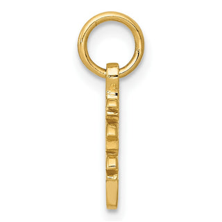 10K Yellow Gold Solid Polished Chinese Long Life Charm