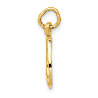 10K Yellow Gold Solid Polished Horseshoe Charm