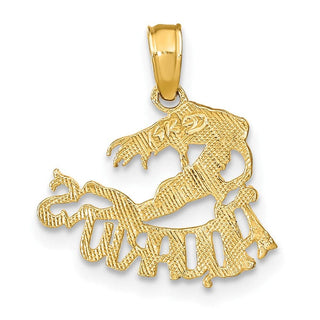 10K Yellow Gold AQUARIUS Zodiac Charm 10K8944