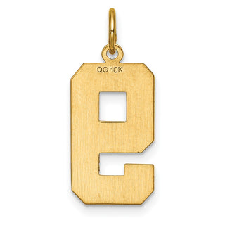 10K Yellow Gold Casted Large Diamond-cut Number 9 Charm