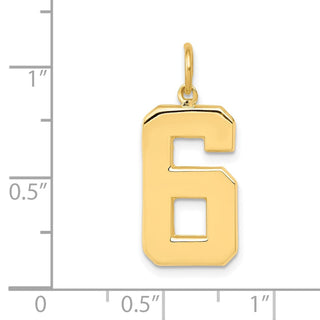 10K Yellow Gold Casted Large Polished Number 6 Charm