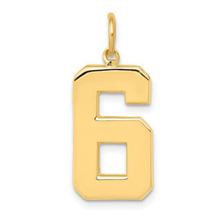 10K Yellow Gold Casted Large Polished Number 6 Charm