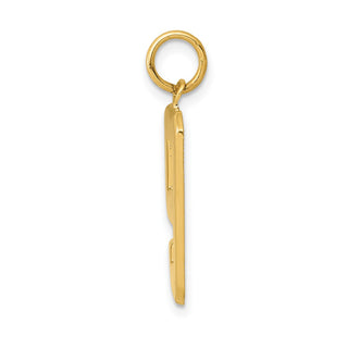 10K Yellow Gold Casted Large Polished Number 9 Charm