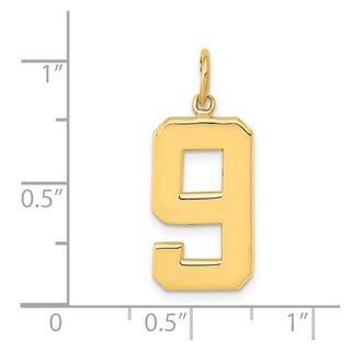 10K Yellow Gold Casted Large Polished Number 9 Charm
