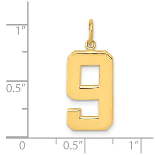 10K Yellow Gold Casted Large Polished Number 9 Charm