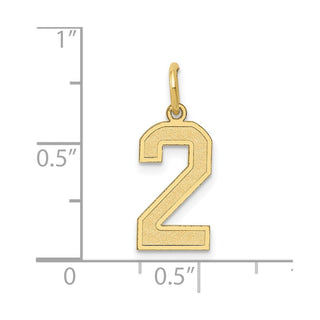 10K Yellow Gold Medium Satin Number 2 Charm