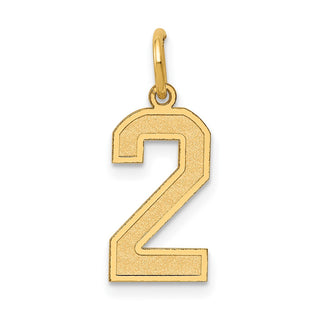 10K Yellow Gold Medium Satin Number 2 Charm