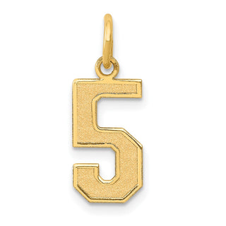 10K Yellow Gold Medium Satin Number 5 Charm