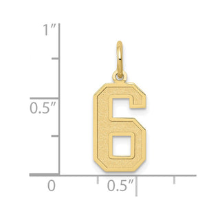 10K Yellow Gold Medium Satin Number 6 Charm