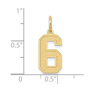 10K Yellow Gold Medium Satin Number 6 Charm