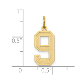 10K Yellow Gold Medium Satin Number 9 Charm