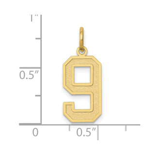 10K Yellow Gold Medium Satin Number 9 Charm