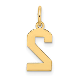10K Yellow Gold Small Satin Number 2 Charm