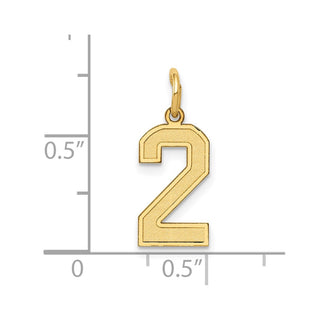 10K Yellow Gold Small Satin Number 2 Charm
