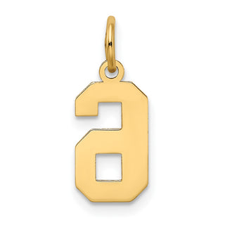 10K Yellow Gold Small Satin Number 6 Charm