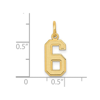 10K Yellow Gold Small Satin Number 6 Charm