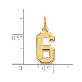 10K Yellow Gold Small Satin Number 6 Charm