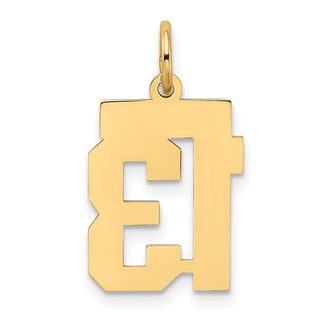 10K Yellow Gold Small Satin Number 13 Charm