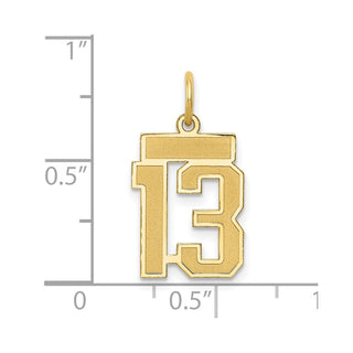 10K Yellow Gold Small Satin Number 13 Charm