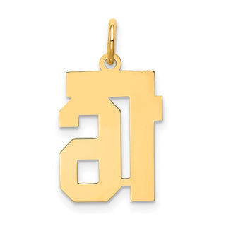 10K Yellow Gold Small Satin Number 16 Charm