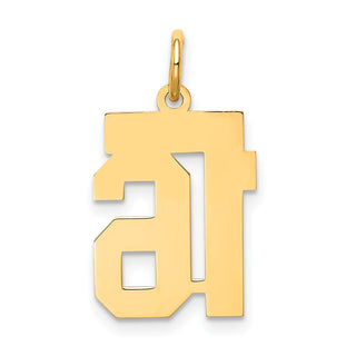 10K Yellow Gold Small Satin Number 16 Charm